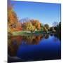 Trees in a Golf Course, Patterson Club, Fairfield, Connecticut, USA-null-Mounted Photographic Print