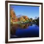 Trees in a Golf Course, Patterson Club, Fairfield, Connecticut, USA-null-Framed Photographic Print