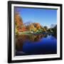 Trees in a Golf Course, Patterson Club, Fairfield, Connecticut, USA-null-Framed Photographic Print