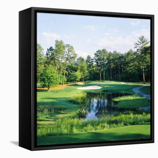 Trees in a Golf Course, Pine Needles Lodge and Golf Club, Pinehurst, Moore County-null-Framed Stretched Canvas