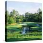 Trees in a Golf Course, Pine Needles Lodge and Golf Club, Pinehurst, Moore County-null-Stretched Canvas