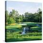 Trees in a Golf Course, Pine Needles Lodge and Golf Club, Pinehurst, Moore County-null-Stretched Canvas