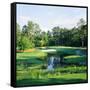 Trees in a Golf Course, Pine Needles Lodge and Golf Club, Pinehurst, Moore County-null-Framed Stretched Canvas