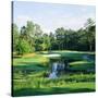 Trees in a Golf Course, Pine Needles Lodge and Golf Club, Pinehurst, Moore County-null-Stretched Canvas