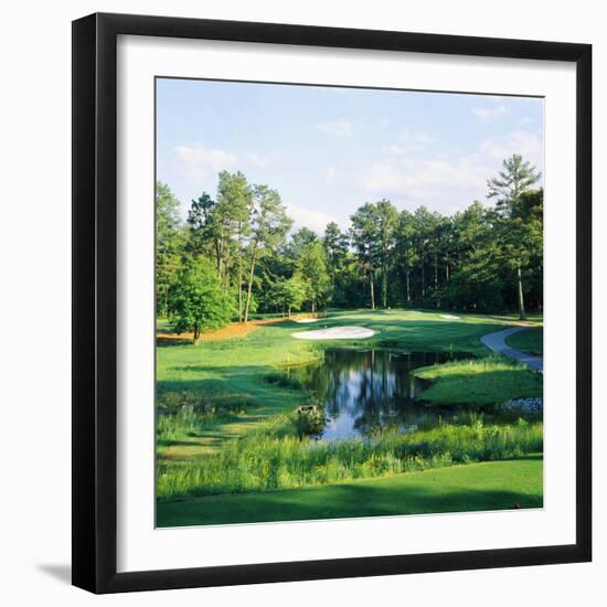 Trees in a Golf Course, Pine Needles Lodge and Golf Club, Pinehurst, Moore County-null-Framed Photographic Print