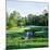 Trees in a Golf Course, Pine Needles Lodge and Golf Club, Pinehurst, Moore County-null-Mounted Photographic Print