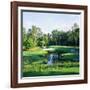 Trees in a Golf Course, Pine Needles Lodge and Golf Club, Pinehurst, Moore County-null-Framed Photographic Print