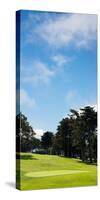 Trees in a Golf Course, Presidio Golf Course, San Francisco, California, USA-null-Stretched Canvas