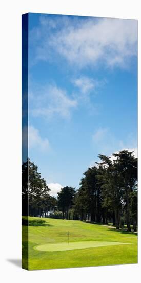 Trees in a Golf Course, Presidio Golf Course, San Francisco, California, USA-null-Stretched Canvas
