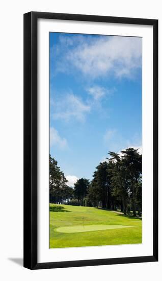 Trees in a Golf Course, Presidio Golf Course, San Francisco, California, USA-null-Framed Premium Photographic Print