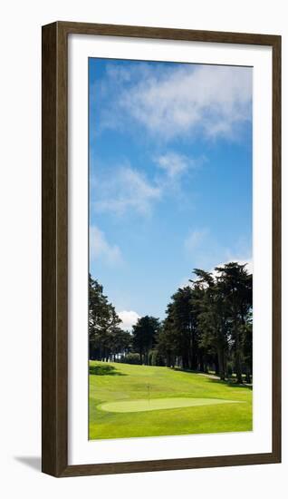 Trees in a Golf Course, Presidio Golf Course, San Francisco, California, USA-null-Framed Photographic Print