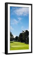 Trees in a Golf Course, Presidio Golf Course, San Francisco, California, USA-null-Framed Photographic Print