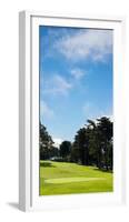 Trees in a Golf Course, Presidio Golf Course, San Francisco, California, USA-null-Framed Photographic Print