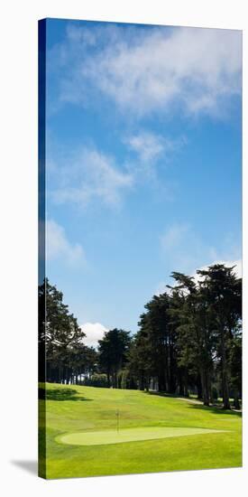 Trees in a Golf Course, Presidio Golf Course, San Francisco, California, USA-null-Stretched Canvas