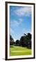 Trees in a Golf Course, Presidio Golf Course, San Francisco, California, USA-null-Framed Premium Photographic Print