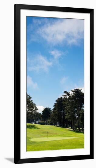 Trees in a Golf Course, Presidio Golf Course, San Francisco, California, USA-null-Framed Premium Photographic Print