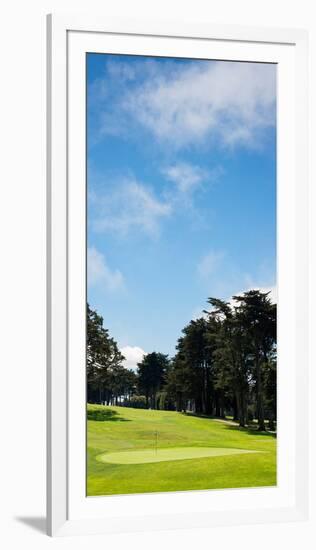 Trees in a Golf Course, Presidio Golf Course, San Francisco, California, USA-null-Framed Photographic Print