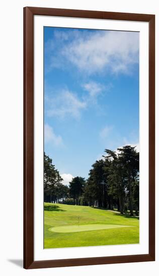 Trees in a Golf Course, Presidio Golf Course, San Francisco, California, USA-null-Framed Photographic Print