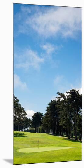 Trees in a Golf Course, Presidio Golf Course, San Francisco, California, USA-null-Mounted Photographic Print