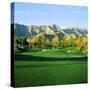 Trees in a Golf Course with a Mountain Range in the Background, Thunderbird Country Club-null-Stretched Canvas