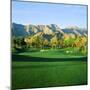 Trees in a Golf Course with a Mountain Range in the Background, Thunderbird Country Club-null-Mounted Photographic Print