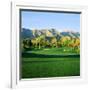 Trees in a Golf Course with a Mountain Range in the Background, Thunderbird Country Club-null-Framed Photographic Print