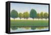 Trees in a Line II-Tim OToole-Framed Stretched Canvas