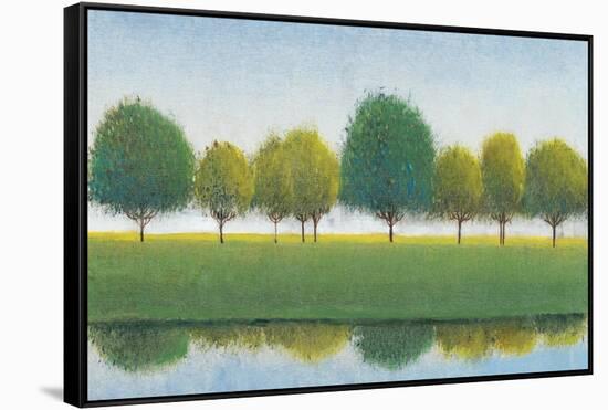 Trees in a Line II-Tim OToole-Framed Stretched Canvas