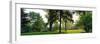 Trees in a park, Adams Park, Wheaton, Illinois, USA-null-Framed Photographic Print
