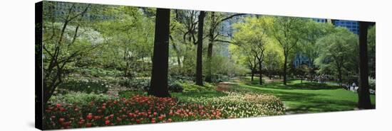 Trees in a Park, Central Park, Manhattan, New York, USA-null-Stretched Canvas