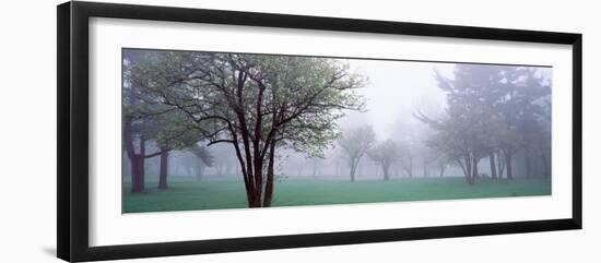 Trees in a Park, Chestnut Ridge County Park, Orchard Park, Erie County, New York State, USA-null-Framed Photographic Print