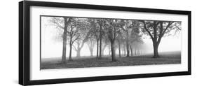 Trees in a Park During Fog, Wandsworth Park, Putney, London, England-null-Framed Photographic Print