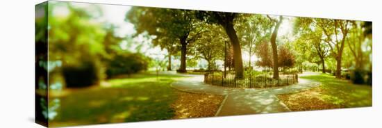 Trees in a Park, Mccarren Park, Greenpoint, Brooklyn, New York City, New York State, USA-null-Stretched Canvas