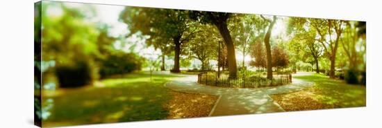 Trees in a Park, Mccarren Park, Greenpoint, Brooklyn, New York City, New York State, USA-null-Stretched Canvas