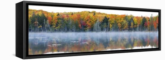 Trees in Autumn at Lake Hiawatha, Alger County, Upper Peninsula, Michigan, USA-null-Framed Stretched Canvas