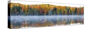 Trees in Autumn at Lake Hiawatha, Alger County, Upper Peninsula, Michigan, USA-null-Stretched Canvas