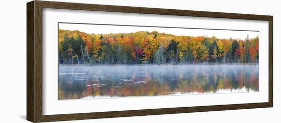 Trees in Autumn at Lake Hiawatha, Alger County, Upper Peninsula, Michigan, USA-null-Framed Photographic Print