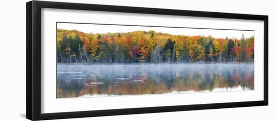 Trees in Autumn at Lake Hiawatha, Alger County, Upper Peninsula, Michigan, USA-null-Framed Photographic Print