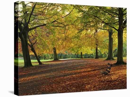 Trees in Autumn Colours and Park Bench Beside a Path at Clifton, Bristol, England, United Kingdom-Julia Bayne-Stretched Canvas