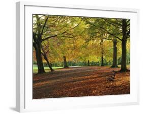 Trees in Autumn Colours and Park Bench Beside a Path at Clifton, Bristol, England, United Kingdom-Julia Bayne-Framed Photographic Print
