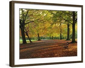 Trees in Autumn Colours and Park Bench Beside a Path at Clifton, Bristol, England, United Kingdom-Julia Bayne-Framed Photographic Print
