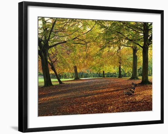 Trees in Autumn Colours and Park Bench Beside a Path at Clifton, Bristol, England, United Kingdom-Julia Bayne-Framed Photographic Print