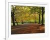 Trees in Autumn Colours and Park Bench Beside a Path at Clifton, Bristol, England, United Kingdom-Julia Bayne-Framed Photographic Print