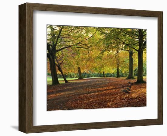 Trees in Autumn Colours and Park Bench Beside a Path at Clifton, Bristol, England, United Kingdom-Julia Bayne-Framed Photographic Print