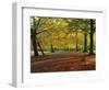 Trees in Autumn Colours and Park Bench Beside a Path at Clifton, Bristol, England, United Kingdom-Julia Bayne-Framed Photographic Print