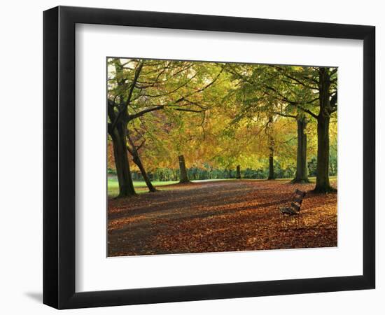 Trees in Autumn Colours and Park Bench Beside a Path at Clifton, Bristol, England, United Kingdom-Julia Bayne-Framed Photographic Print