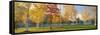Trees in Autumn-null-Framed Stretched Canvas
