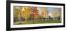 Trees in Autumn-null-Framed Photographic Print