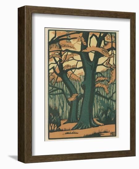 Trees in Autumn-null-Framed Photographic Print