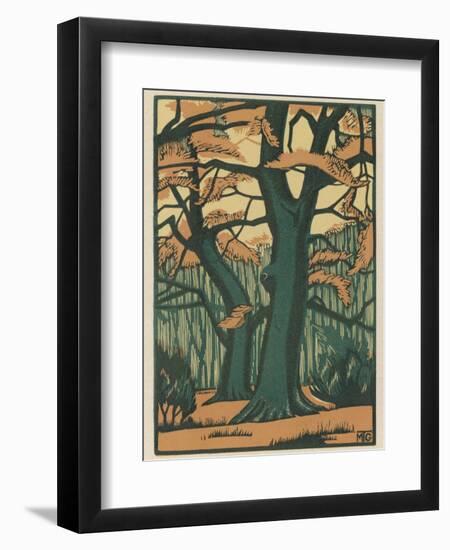 Trees in Autumn-null-Framed Photographic Print